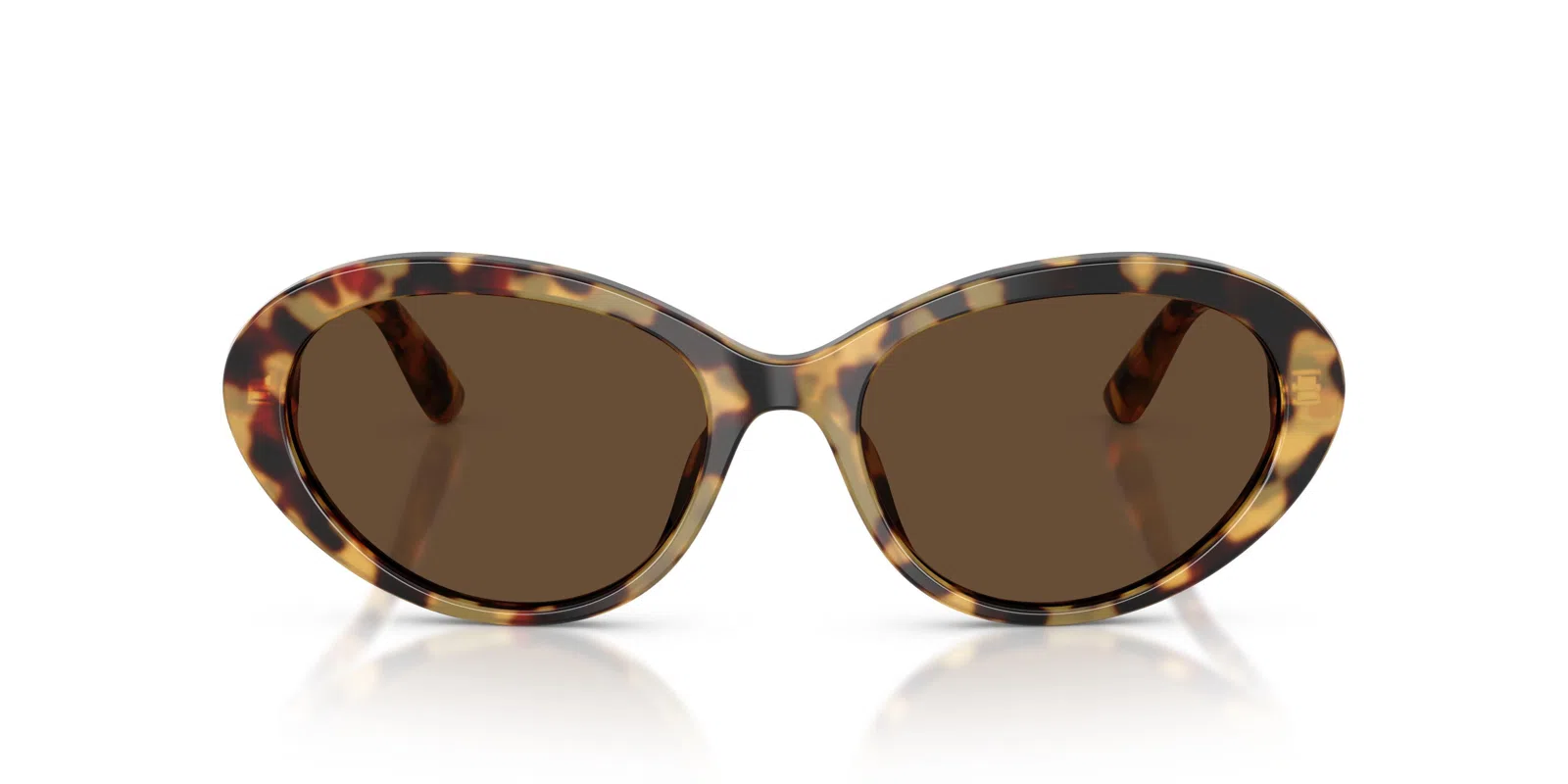 Dolce & Gabbana 4570 Sunglasses - view 15